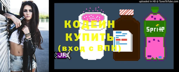 хмурый Рославль