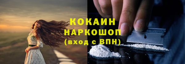 хмурый Рославль