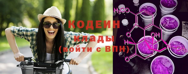 хмурый Рославль